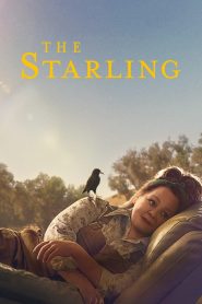 The Starling (2021) เดอะ สตาร์ลิง (ซับไทย)