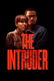 จิตหลอนระห่ำบ้าน (2019) The Intruder