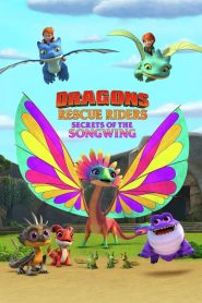 ทีมมังกรผู้พิทักษ์ ความลับของพญาเสียงทอง (2020) Dragons Rescue Riders Secrets of Songwing (2020)